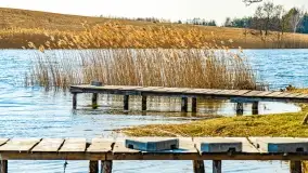 Binduga Zimny Kąt na początku wiosny 2022 - zdjęcie 26