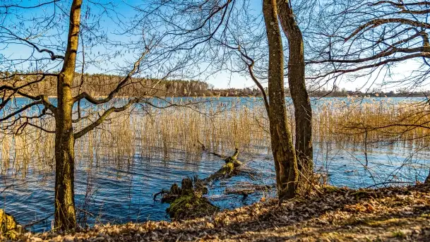 Jezioro Ołów w pierwszych dniach wiosny - zdjęcie 4