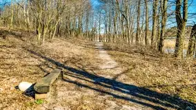 Jezioro Ołów w pierwszych dniach wiosny - zdjęcie 23