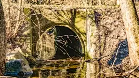 Jezioro Ołów w pierwszych dniach wiosny - zdjęcie 18