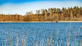 Jezioro Ołów w pierwszych dniach wiosny - zdjęcie 24