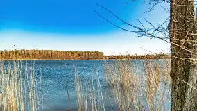 Jezioro Ołów w pierwszych dniach wiosny - zdjęcie 28