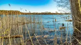 Jezioro Ołów w pierwszych dniach wiosny - zdjęcie 48