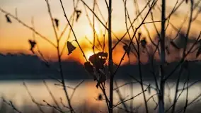 Wschód słońca przy wyspie Wydmińskiej, kwiecień 2022 r. - zdjęcie 4