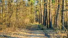 Wschód słońca przy wyspie Wydmińskiej, kwiecień 2022 r. - zdjęcie 35