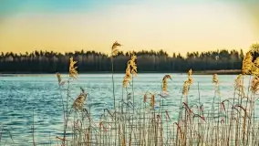 Wschód słońca przy wyspie Wydmińskiej, kwiecień 2022 r. - zdjęcie 27