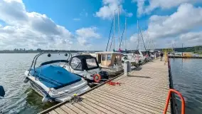 Takie różne tam, z telefonu i... z zeszłego roku 2021 - zdjęcie 19