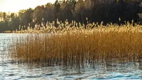 Zachód słońca nad jeziorem Dejguny, marzec 2022 r. - zdjęcie 30