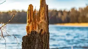 Zachód słońca nad jeziorem Dejguny, marzec 2022 r. - zdjęcie 29