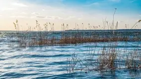 Zachód słońca nad jeziorem Dargin, marzec 2022 r. - zdjęcie 11