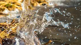 Zachód słońca nad jeziorem Dargin, marzec 2022 r. - zdjęcie 12