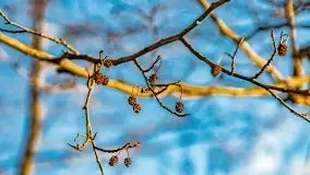 Zachód słońca nad jeziorem Bocznym, Leśna Keja - zdjęcie 30