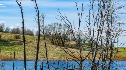 Grodzisko Galindów na Zamkowej Górze