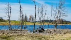 Grodzisko Galindów na Zamkowej Górze - zdjęcie 3