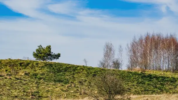 Grodzisko Galindów na Zamkowej Górze - zdjęcie 7