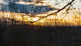 Zachód słońca nad jeziorem Stręgiel - zdjęcie 28