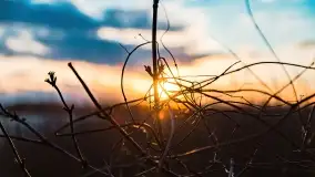 Zachód słońca nad jeziorem Stręgiel - zdjęcie 5