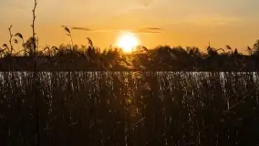 Zachód słońca nad jeziorem Boczne, widoczny z Rydzewa - zdjęcie 37