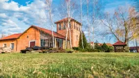 Ognisty Ptak przed kwietniowym zachodem słońca - zdjęcie 16