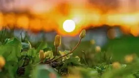 Magia zachodu w Sztynorcie przed Majówką - zdjęcie 26