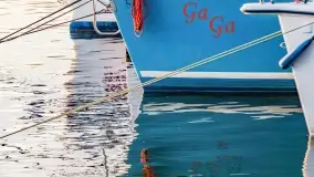 Rozpoczęcie sezonu w Tle Dla Mew, majówka 2022 - zdjęcie 47