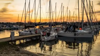 Rozpoczęcie sezonu w Tle Dla Mew, majówka 2022