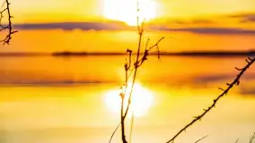 Wieczór i zachód słońca nad Darginem, kwiecień 2022 - zdjęcie 14