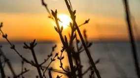 Zachód słońca nad jeziorem Dobskim, kwiecień 2022 - zdjęcie 17