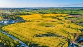 Złote, rzepakowe mazurskie pola z jeziorami w tle - zdjęcie 43