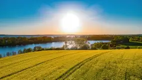 Złote, rzepakowe mazurskie pola z jeziorami w tle - zdjęcie 62