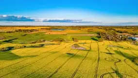 Złote, rzepakowe mazurskie pola z jeziorami w tle - zdjęcie 8