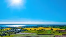 Złote, rzepakowe mazurskie pola z jeziorami w tle - zdjęcie 41