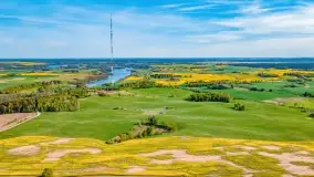 Złote, rzepakowe mazurskie pola z jeziorami w tle - zdjęcie 94