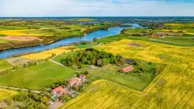 Złote, rzepakowe mazurskie pola z jeziorami w tle - zdjęcie 98