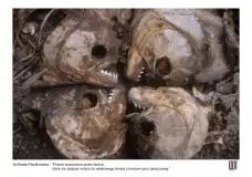 Kobiety fotografują na Mazurach. Niezwykły festiwal w Wojnowie - zdjęcie 16