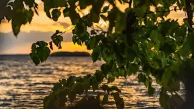 Zachód słońca nad jeziorem Dargin, maj 2022 r. - zdjęcie 10