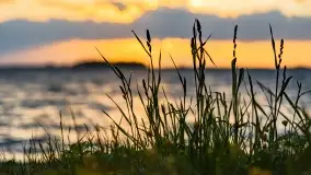 Zachód słońca nad jeziorem Dargin, maj 2022 r. - zdjęcie 18