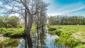 Wiosenne widoki przy jeziorach Ublik - zdjęcie 81
