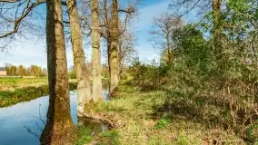 Wiosenne widoki przy jeziorach Ublik - zdjęcie 92