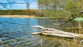 Wiosenne widoki przy jeziorach Ublik - zdjęcie 122