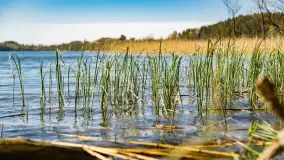 Wiosenne widoki przy jeziorach Ublik - zdjęcie 107