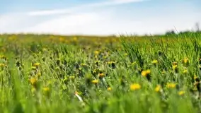 Wiosenne widoki przy jeziorach Ublik - zdjęcie 133