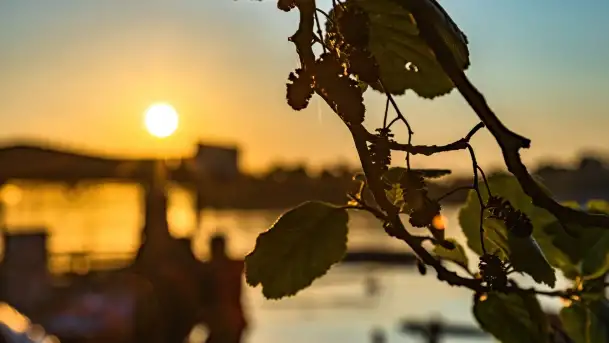 Zachód słońca nad jeziorem Bocznym, Marina Lester Club