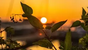 Wschód słońca nad jeziorem Mamry, Stanica Wodna Kietlice, czerwiec 2022 - zdjęcie 45