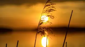 Zachód słońca nad jeziorem Kirsajty, koniec maja 2022 - zdjęcie 42