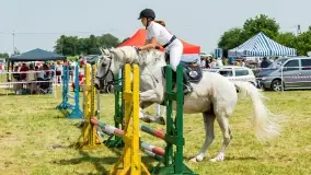 Sulimiada 2022, zobacz naszą fotorelację - zdjęcie 1