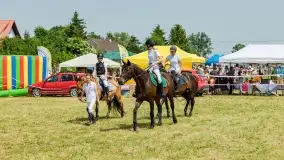 Sulimiada 2022, zobacz naszą fotorelację - zdjęcie 5