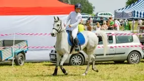 Sulimiada 2022, zobacz naszą fotorelację - zdjęcie 34