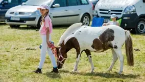 Sulimiada 2022, zobacz naszą fotorelację - zdjęcie 49