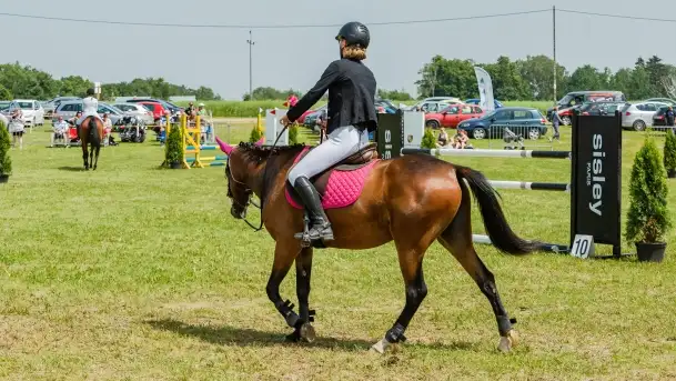 Sulimiada 2022, zobacz naszą fotorelację - zdjęcie 8